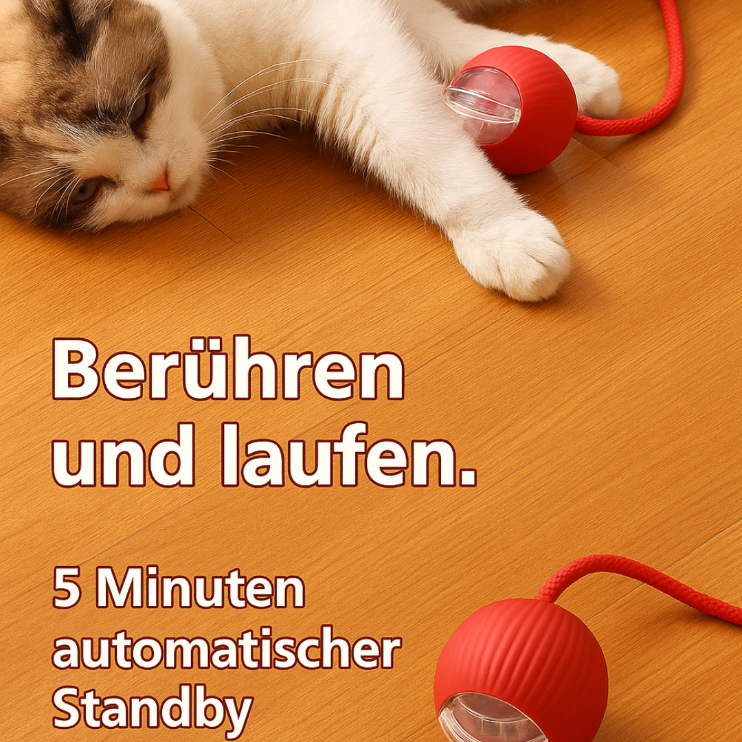 Pawloo™ | Tierspielball - Mehr Bewegung & Freude für dein Haustier