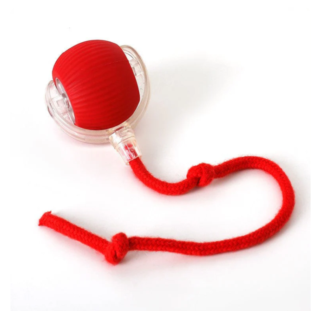 Pawloo™ | Tierspielball - Mehr Bewegung & Freude für dein Haustier