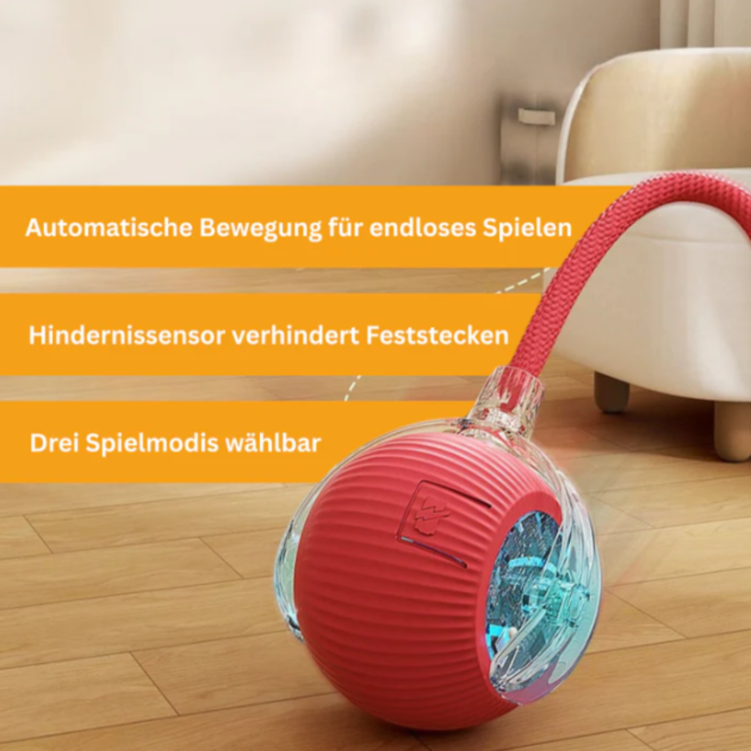 Pawloo™ | Tierspielball - Mehr Bewegung & Freude für dein Haustier