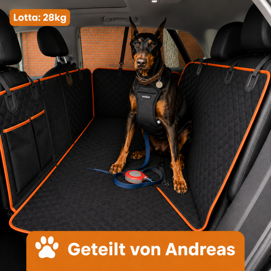 Pawloo™ | Stabiler Autositzschutz