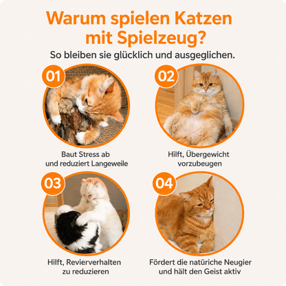 Pawloo™ | Das interaktive WM Spielzeug