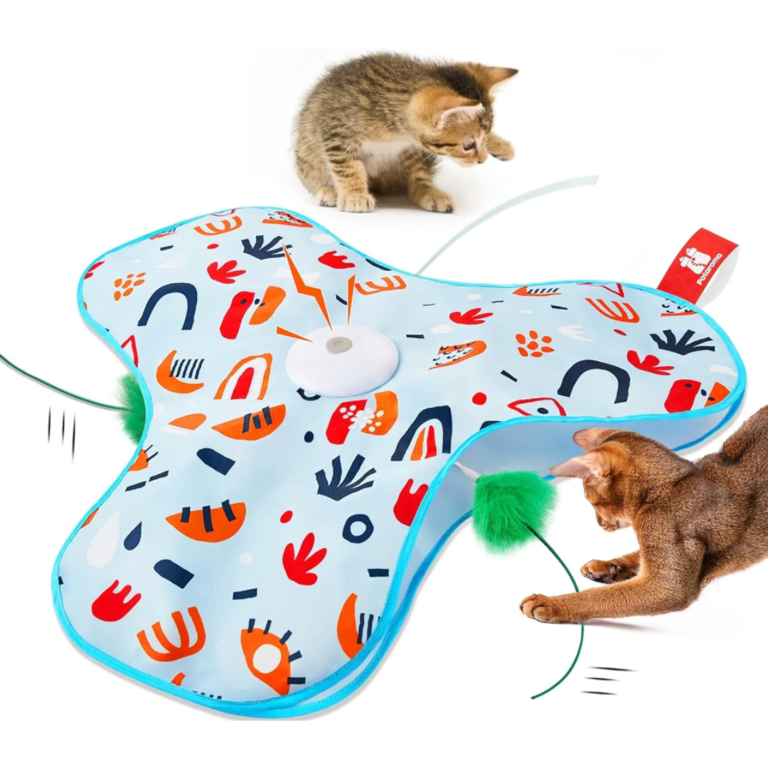Pawloo™ | Interaktives Versteckspiel