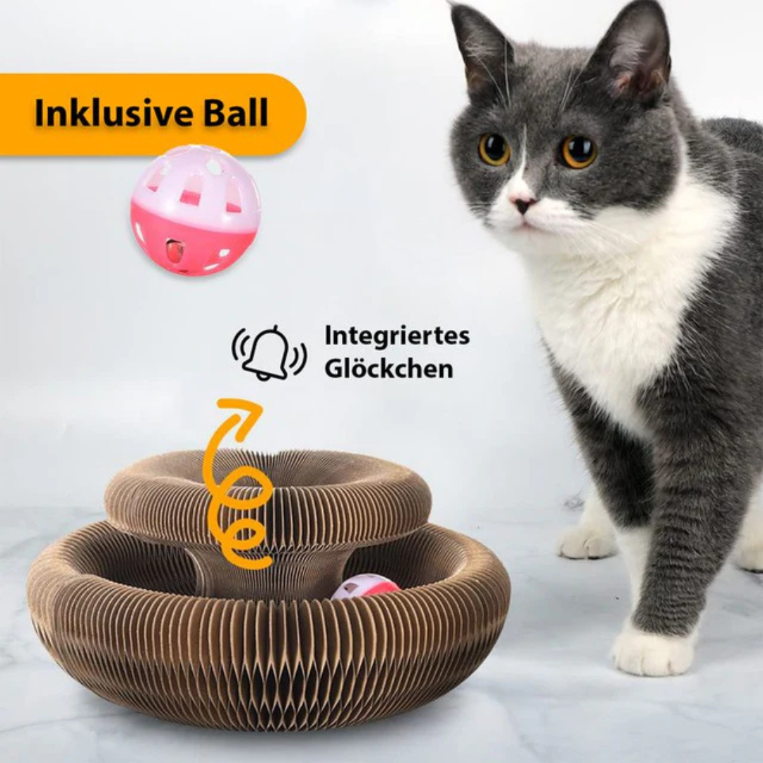 Pawloo™ | Intelligentes Trainingsspielzeug für Haustiere