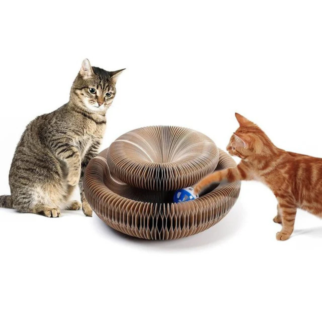 Pawloo™ | Intelligentes Trainingsspielzeug für Haustiere