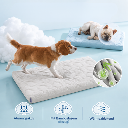 Pawloo™ | Kühlbett für Haustiere