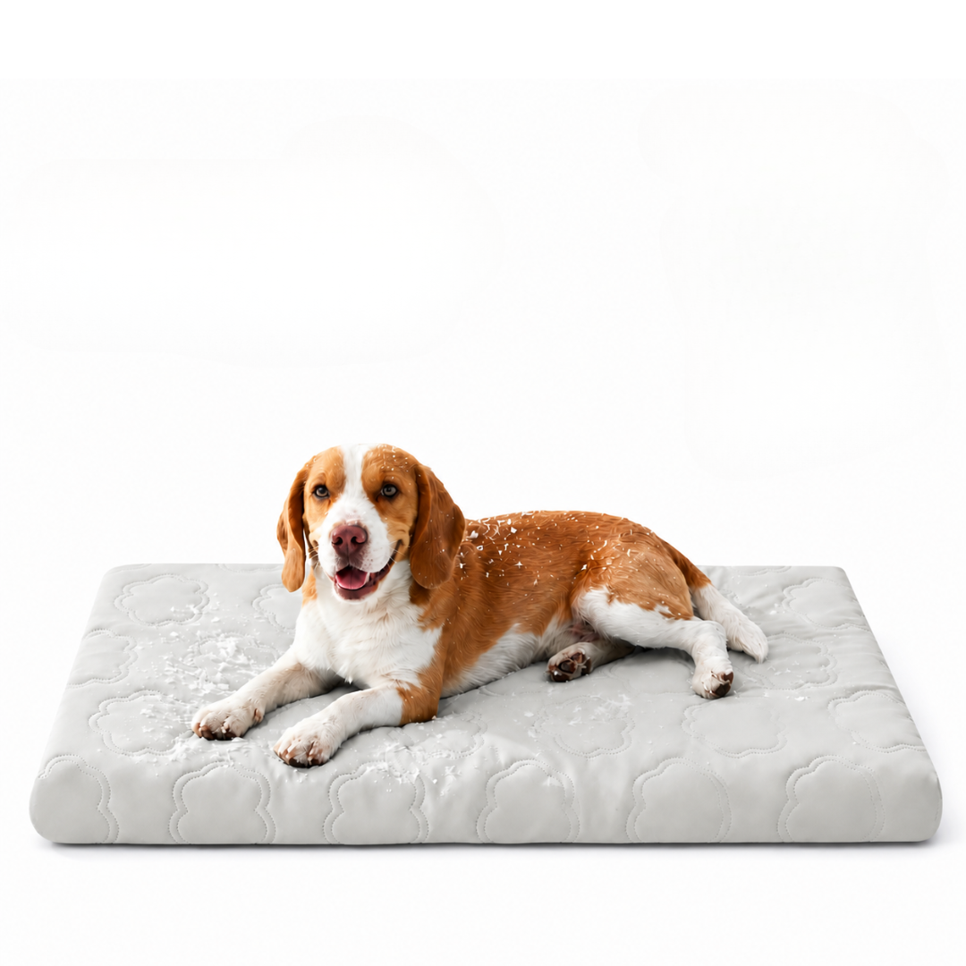 Pawloo™ | Kühlbett für Haustiere