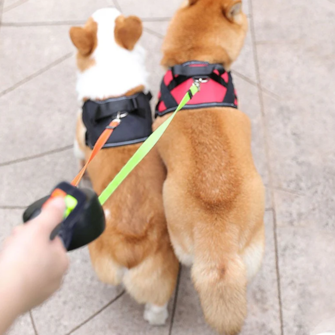 Pawloo™ | Doppelleine für Hunde mit Anti-Wickel-Funktion