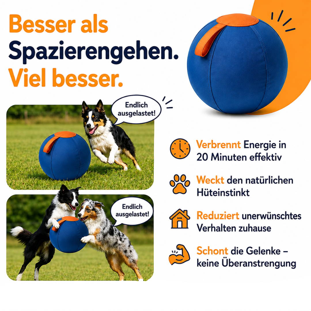 Pawloo™ | Rollball