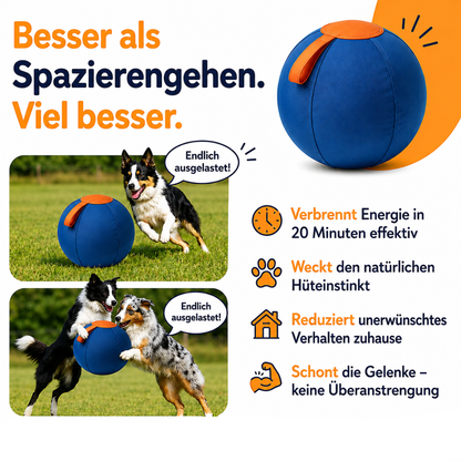 Pawloo™ | Rollball