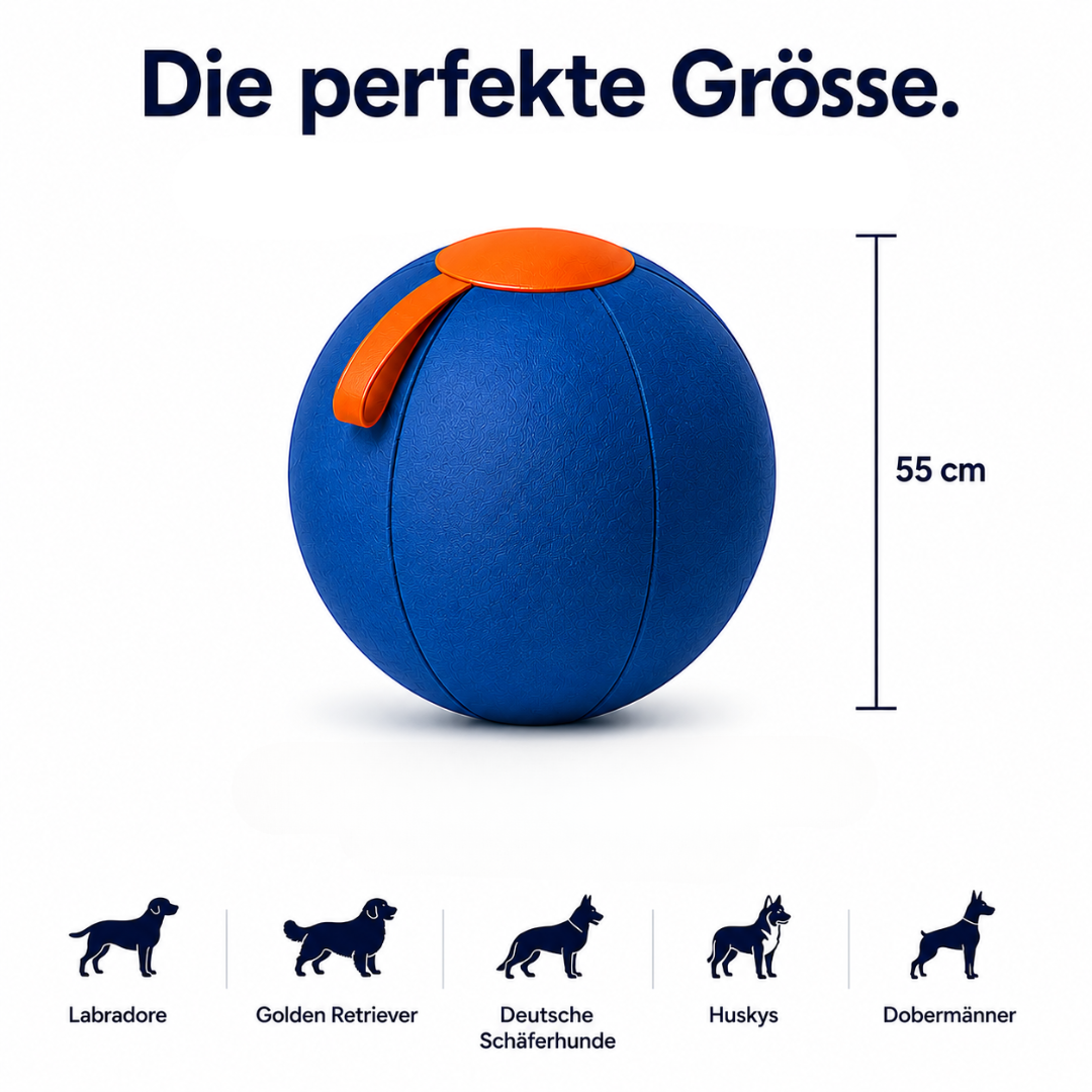 Pawloo™ | Rollball