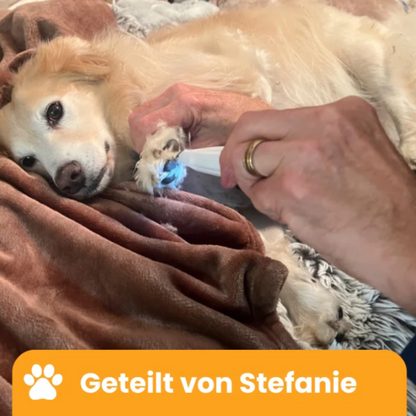Pawloo™ | PawTrim Pro – Sanfte Fellpflege in Sekunden