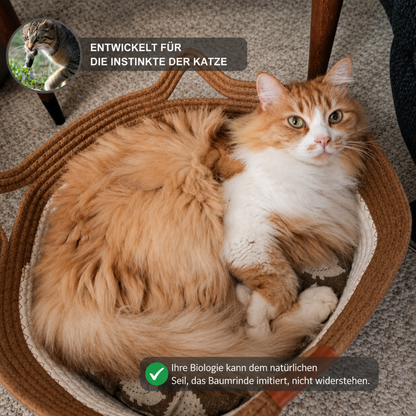 Pawloo™ | Wissenschaftlich entwickelter Instinktkorb