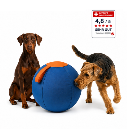 Pawloo™ | Rollball