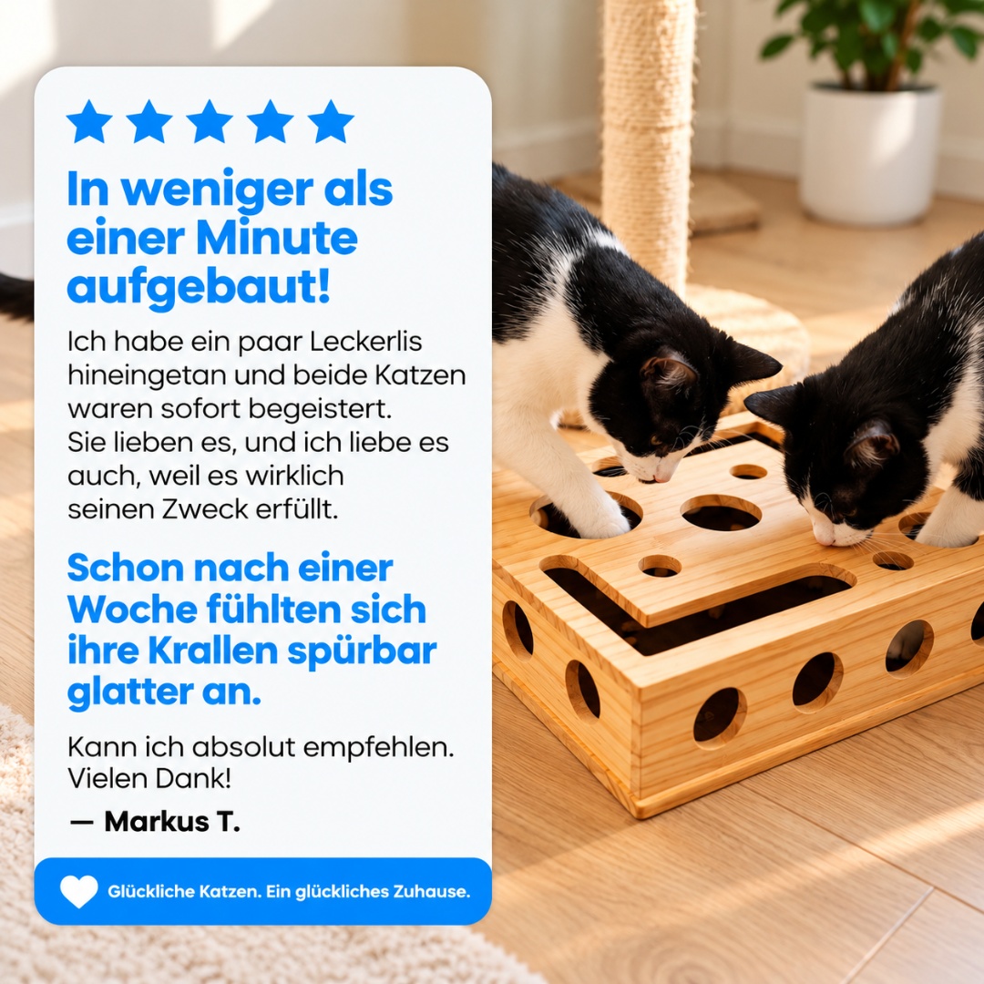 Pawloo™ | Katzen Puzzlebox